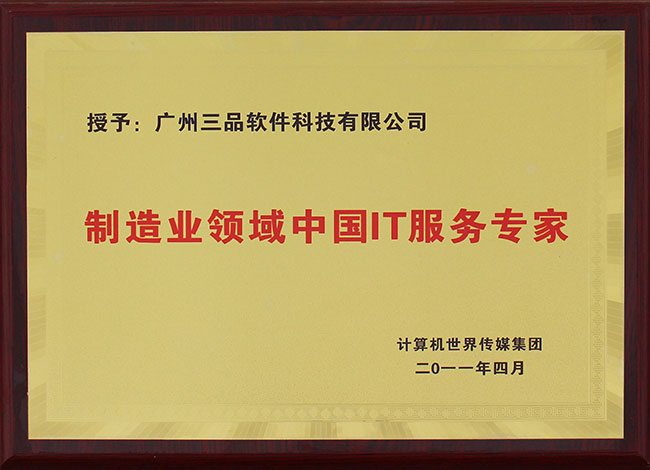 制造業(yè)領(lǐng)域中國(guó)IT服務(wù)專家